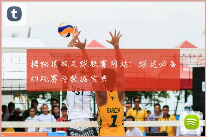揭秘顶级足球联赛网站：球迷必备的观赛与数据宝典