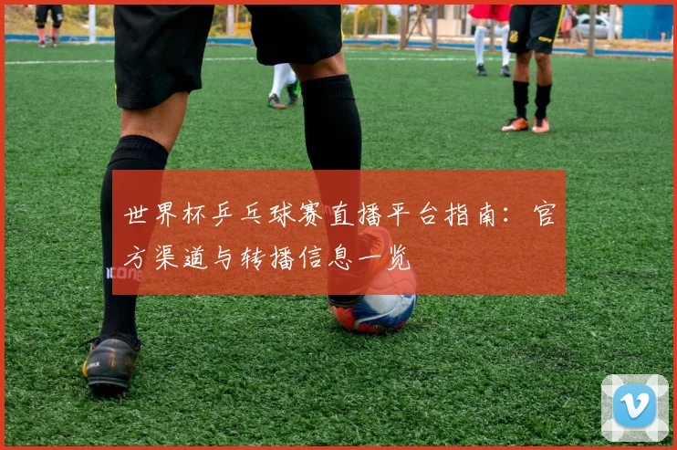 世界杯乒乓球赛直播平台指南：官方渠道与转播信息一览