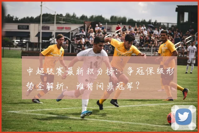 中超联赛最新积分榜:争冠保级形势全解析,谁将问鼎冠军?